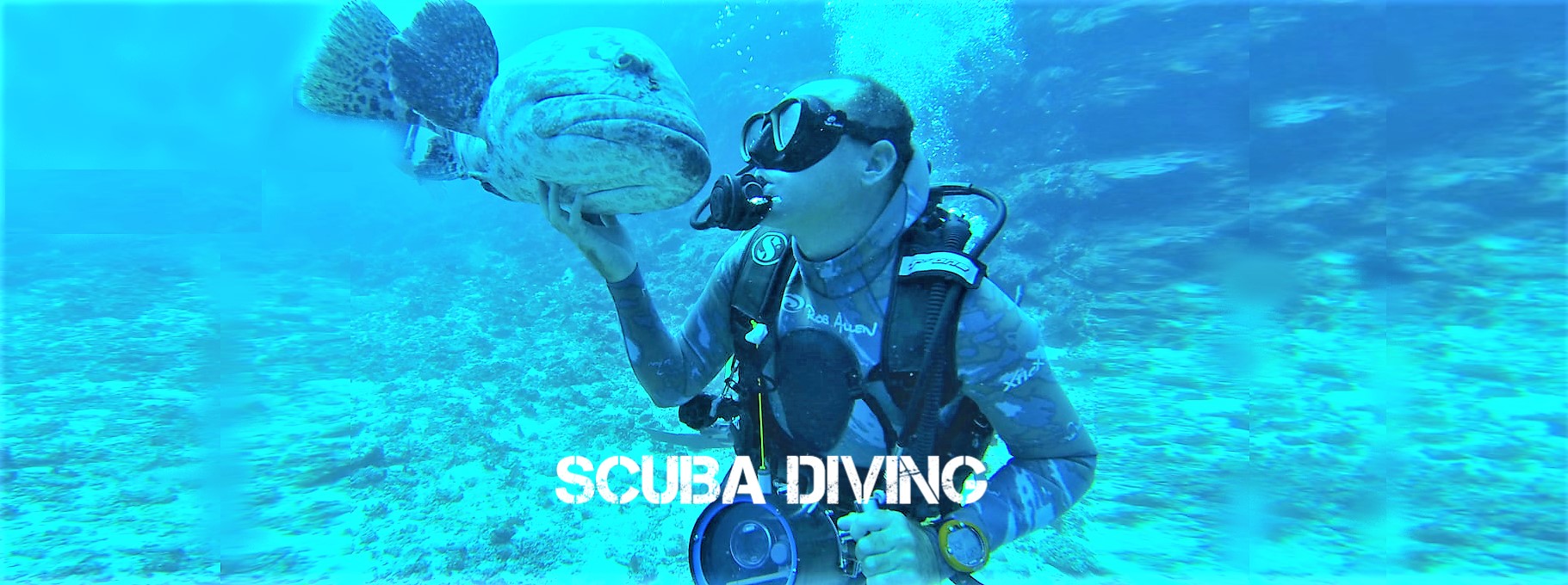 Scuba Diving