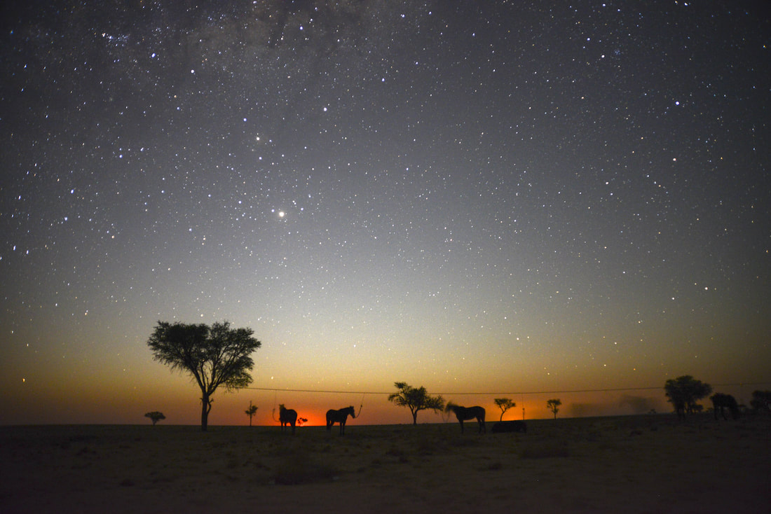 Camping Safari in Africa