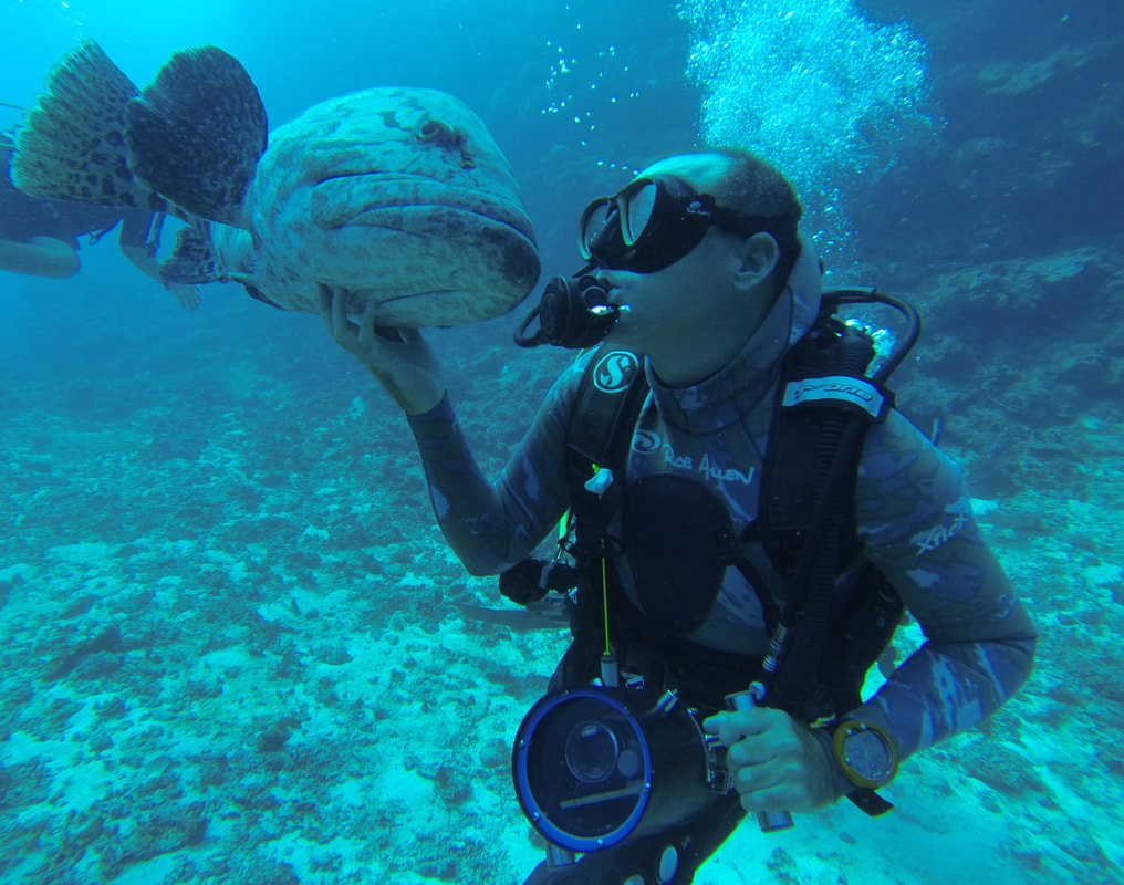 Scuba diving with a Grouper in Zanzibar